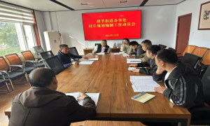 栾川县耕莘街道：精心绘制村庄发展新蓝图