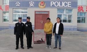 “鱼鹰”断翅 警民携手救助