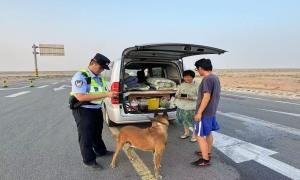 “犬”力出击 护航边境安全稳定