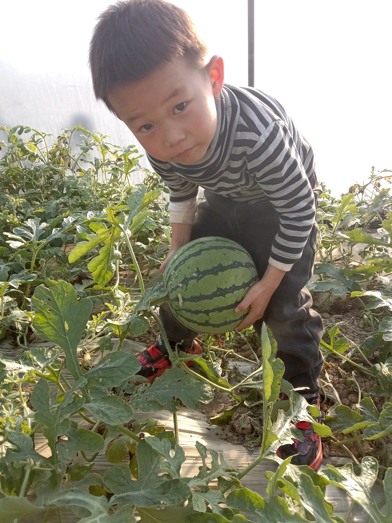 微信图片_20241209152729.jpg