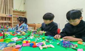 王坪村：凝聚人大力量 助推乡村振兴