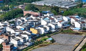 广西百色：“四个结合” 铺就宜居宜业和美乡村路