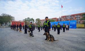 “犬”力以赴 各显绝技