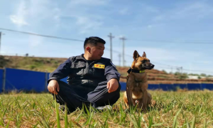 1人 2犬 16年