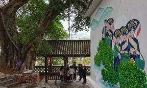 营盘村：党建引领下的乡村振兴新画卷