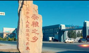 三井子镇：全力打造中国杂粮第一镇
