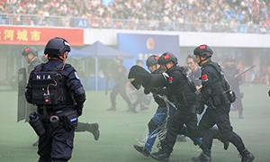 凛冬砺剑，这“边”警色绝好