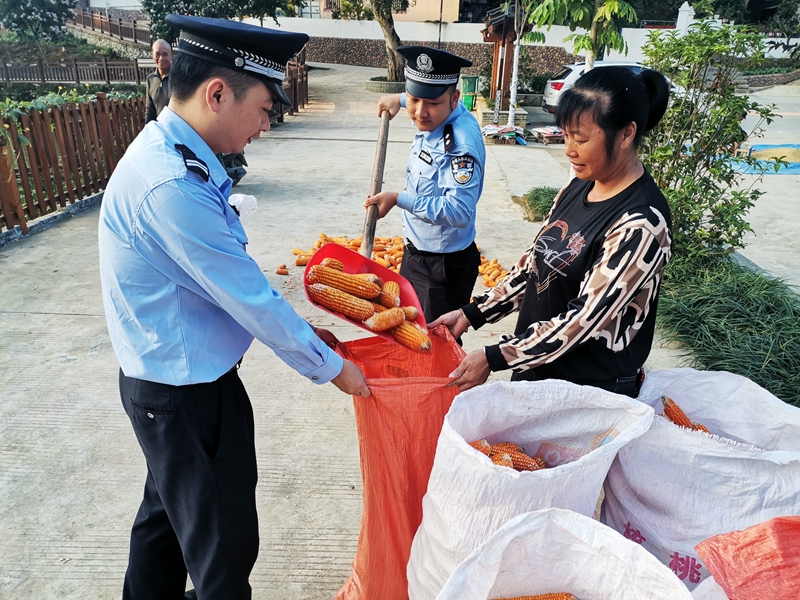 4、民警在下乡走访时帮群众收玉米.jpg