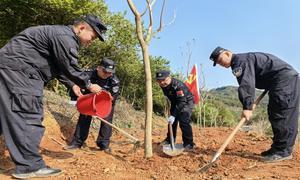 国门添新绿 携手护边疆