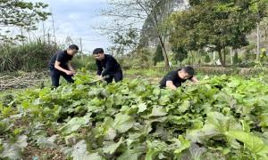 警营“菜园子”延续优良好传统