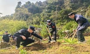 党建引领植新绿 归春河畔党旗红
