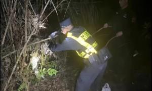 “大猫咪”落难，移民管理警察暖心解救