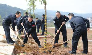 梧州出入境边防检查站组织开展植树活动