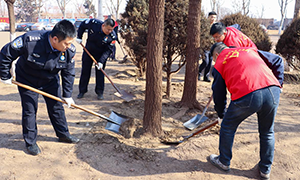 唐山边检站：国门添新绿 共谱新篇章