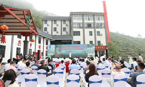飘香开幕！德庆县官圩镇举办首届采茶旅游文化节