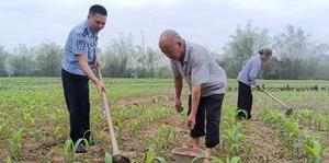 田间警务护春耕 不负农时不负春