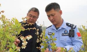 鸭绿江畔花似锦 入户走访保安全