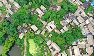  传统村落保护丨玉林市高山村：百年“进士村”传来琅琅书声