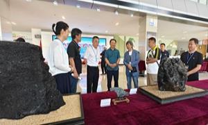 长白山奇石艺术展在延边图书馆开幕
