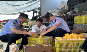 坚持党建引领，助推夏季行动落实见效