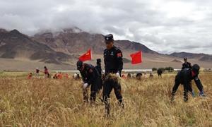 警民鱼水情深 共绘丰收画卷