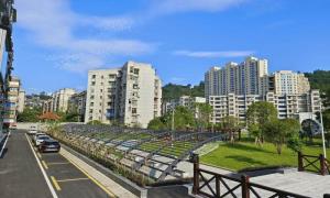 官坡社区：老小区“逆龄生长” 幸福感“原地升级”