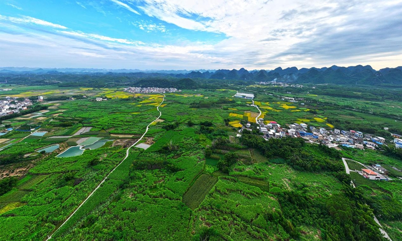 智能监测桑树生长宜州绿色桑园(喻湘泉 摄).jpg 智能监测桑树生长宜州绿色桑园(喻湘泉 摄).jpg