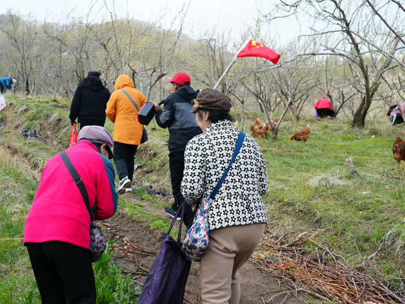 图片5.jpg 图片5.jpg