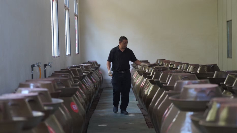 田建在查看建南咸菜成熟情况(王勇超摄).jpg 田建在查看建南咸菜成熟情况(王勇超摄).jpg