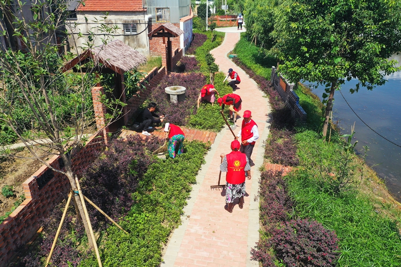 孝感汉川市分水镇复生垸 村志愿者开展清洁家园志愿活动，共同维护美好村庄环境.JPG