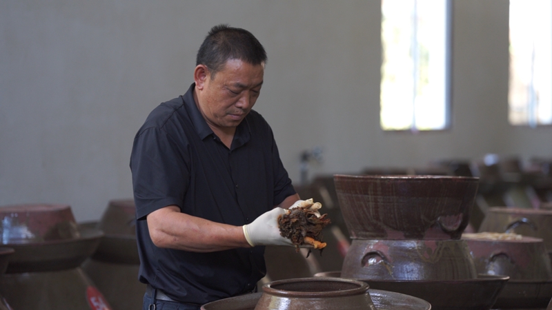 田建正在查看咸菜情况(王勇超).jpg 田建正在查看咸菜情况(王勇超).jpg