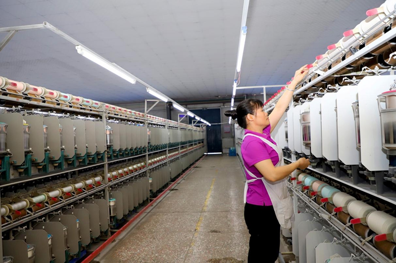 自动化织绸车间(邓蕾雅  摄).jpg 自动化织绸车间(邓蕾雅  摄).jpg