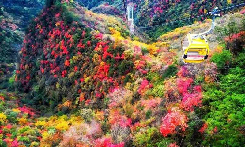 天竺山红叶盛宴.jpg 天竺山红叶盛宴.jpg