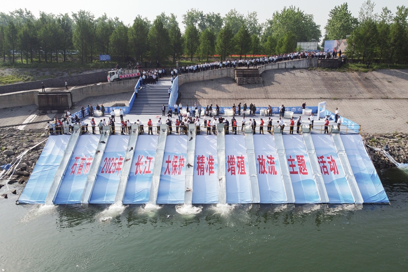 荆州石首市举行长江大保护精准增殖放流主题活动 拍摄:王子原.jpg 荆州石首市举行长江大保护精准增殖放流主题活动 拍摄:王子原.jpg