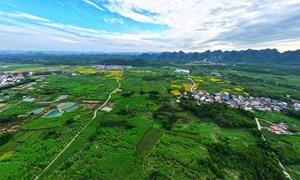 AI赋能壮乡农业 广西人工智能推动智慧农业发展