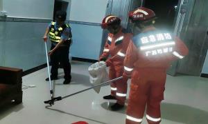 眼镜王蛇闯入居民家中 警消协同速处置