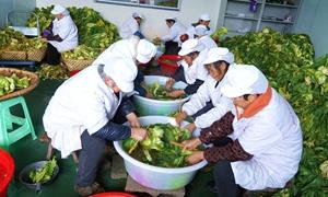 120坛咸菜腌出600份幸福生活 田建与“建南咸菜”的故事