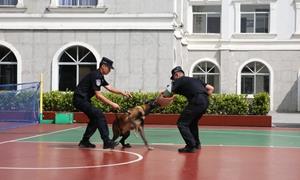 水口关边检站开展“警犬+无人机”实战演练