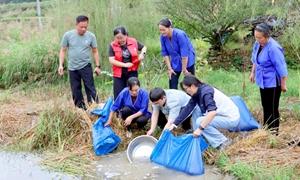 广西农工院：精准帮扶三江稻渔产业灾后振兴