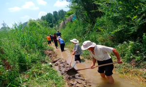 沉下去的是身子，暖起来的是民心 ——金锁关镇“每周察民情办实事”活动掠影