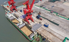 莆田边检站保障今年首次进口小麦“零等待”通关