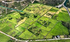 江西稻作习俗：万年起源源万年