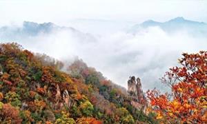 河南汝阳:康养+文旅交出“双节”亮眼答卷