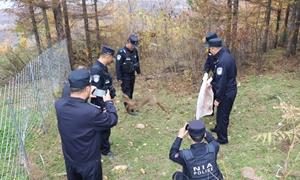 救助野生动物 保护生态环境