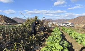 田间地头“警”色浓!