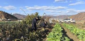 田间地头“警”色浓!