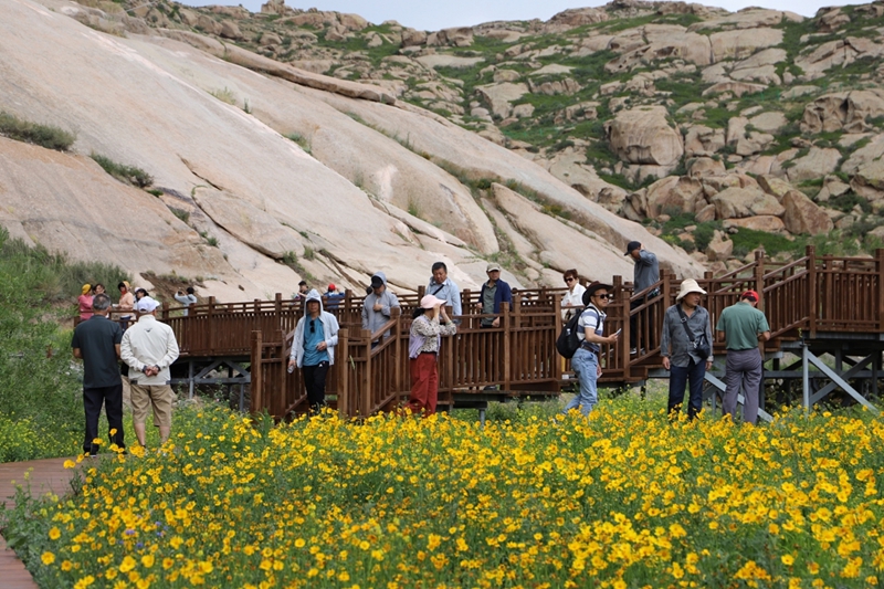7月30日，第五师双河市怪石峪景区山花烂漫，吸引大量游客。图为游客在景区拍照打卡。张培丽摄.jpg