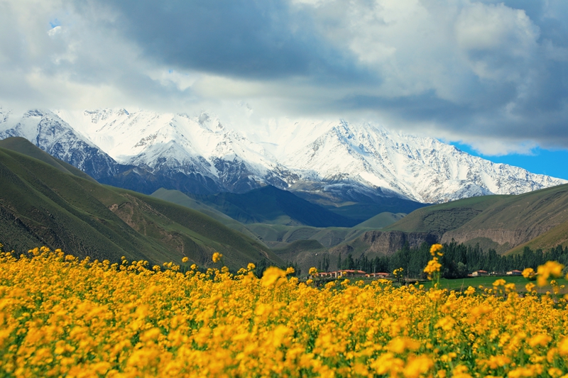 新疆生产建设兵团第十四师昆玉市一牧场风景。 刘秋月摄.jpg