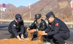 白山深处护平安