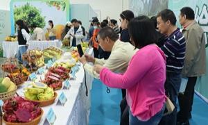 中国—东盟水果产业发展大会暨广西水果产销对接活动在南宁举办
